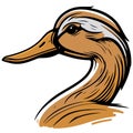 Waterfowl duck animal head