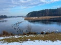 Waterfowl gathered in winter on the unfrozen part of the pond Royalty Free Stock Photo