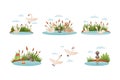 Waterfowl swimming in pond set. Ugly duckling fairy tale scenes cartoon vector illustration Royalty Free Stock Photo