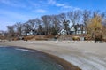 beach with large trees and residential neighborhood in the background