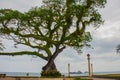 Waterfront with beautiful trees in cloudy weather. Dumaguete, Philippines