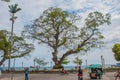 Waterfront with beautiful trees in cloudy weather. Dumaguete, Philippines