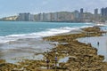 Waterfront Buildings and Beach Natal Brazil Royalty Free Stock Photo