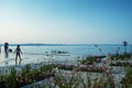 Waterfront at the Lake Balaton in Siofok,Hungary. Royalty Free Stock Photo