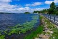 Waterfront nature scenic view of clear weather day time with lake, walking city area and water lily Royalty Free Stock Photo