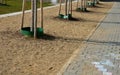 Waterfront with trees growing on the sidewalk with a sandy terrace. concrete staircase serves as a theater bench overlooking the r Royalty Free Stock Photo