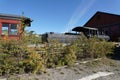 Waterfront trolley rail track in Whitehorse Royalty Free Stock Photo