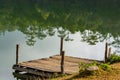 Waterfront and water reflection of green forest Royalty Free Stock Photo