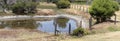 Waterhole in a paddock in summer.