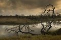 Waterhole at Sabie Sand