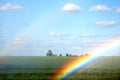 Watering the agriculture fields Royalty Free Stock Photo