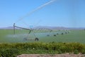 Watering an alfalfa field, south Oregon.