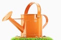 Watering-can Royalty Free Stock Photo