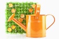 Watering-can Royalty Free Stock Photo