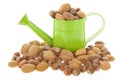 Assortment nuts Royalty Free Stock Photo