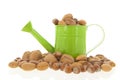 Assortment nuts in watering can Royalty Free Stock Photo