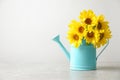 Watering can with beautiful yellow sunflowers Royalty Free Stock Photo