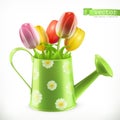 Watering can and a bouquet of tulips, spring flowers vector icon