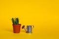 Watering can and cactus in a brown pot on a bright yellow background Royalty Free Stock Photo