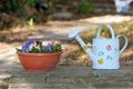 Watering Can and Flower Pot Royalty Free Stock Photo