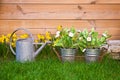 Watering can and flowers Royalty Free Stock Photo