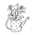 Watering can with flowers. Lilies of the valley, tulip, daisies Royalty Free Stock Photo