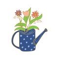 Watering can with flowers. Lilies of the valley, tulip, daisies Royalty Free Stock Photo