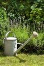 Watering-can in the garden