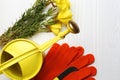 Watering can, gardening tool, gloves and flowers on white wooden table, flat lay Royalty Free Stock Photo