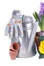 Watering can and gloves isolated Royalty Free Stock Photo