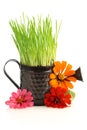 Watering can with grass & flowers