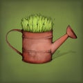 Watering can with grass