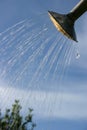 Watering can head Royalty Free Stock Photo