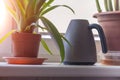 Watering can and indoor plants in pots on a windowsill in the sun. A group of different home plants Royalty Free Stock Photo