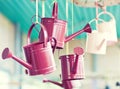 Watering can in Keukenhof garden