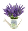 Watering can with lavender Royalty Free Stock Photo