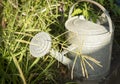 Watering Can Royalty Free Stock Photo