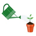 Watering can and plant in the pot. Royalty Free Stock Photo