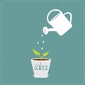 Watering can and plant in the pot. Growing idea concept. Royalty Free Stock Photo