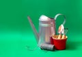 Watering can, plastic flower pots and gardening tools on green background. View with copy space Royalty Free Stock Photo