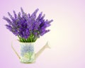 Watering can with plucket lavender Royalty Free Stock Photo