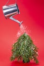 Watering can pouring snow on a Christmas tree on a red background, Christmas composition