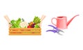 Watering Can and Pruner as Garden Tool and Wooden Crate Full of Harvested Fresh Crops Vector Set