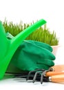 Watering-can, rake, pot, rubber gloves and green grass Royalty Free Stock Photo