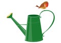 Watering can with a robin