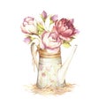 Watering can with roses. Hand draw watercolor illustration