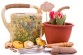 Watering can with seeds, flower bulbs and tulips in a pot on a w Royalty Free Stock Photo