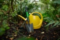 Watering can, shovel and rake garden tool closeup selective focus