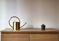 Watering can and small plant in dark pot on the wooden table