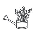 Watering can with tulips flower bouquet. Plants in pot for happy easter greetings cards or mothers day. Isolated doodle vector